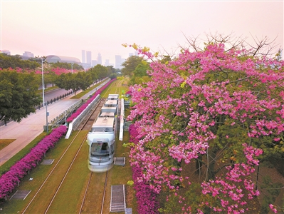 廣州市用繡花功夫做好城市規劃建設管理