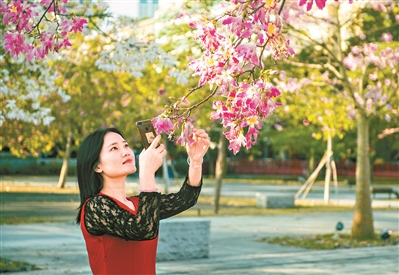 廣州市用繡花功夫做好城市規劃建設管理