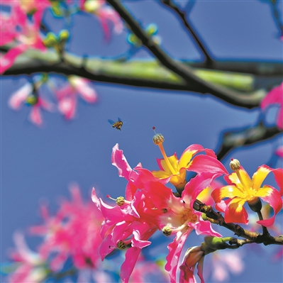 廣州市用繡花功夫做好城市規劃建設管理