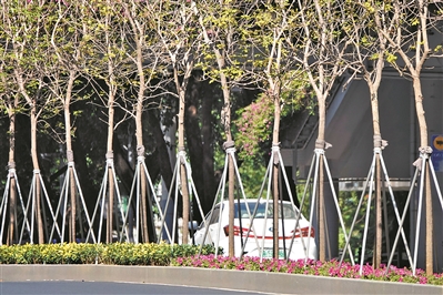 廣州市用繡花功夫做好城市規劃建設管理