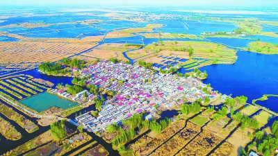 雄安新區退耕還淀還濕工程開工