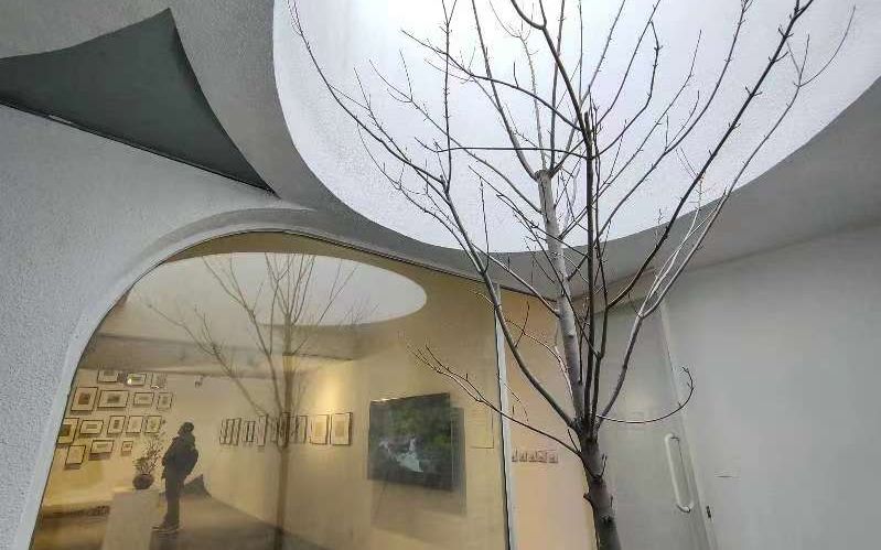 胡同深處巨變:北京城市更新的漫長實驗