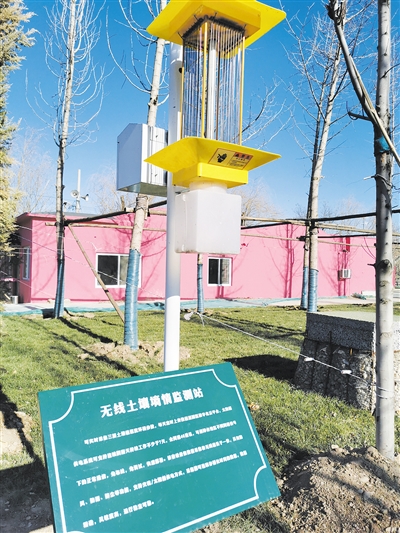 昔日批發場 今朝生態園