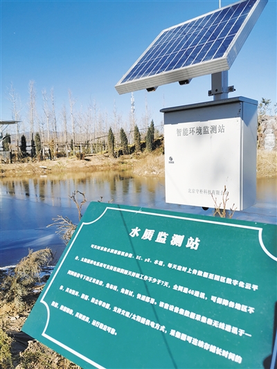 昔日批發場 今朝生態園