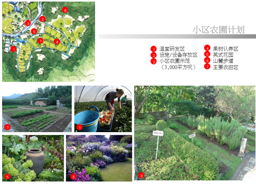 汪怡嘉：都市農(nóng)業(yè)——以二澳農(nóng)場為例