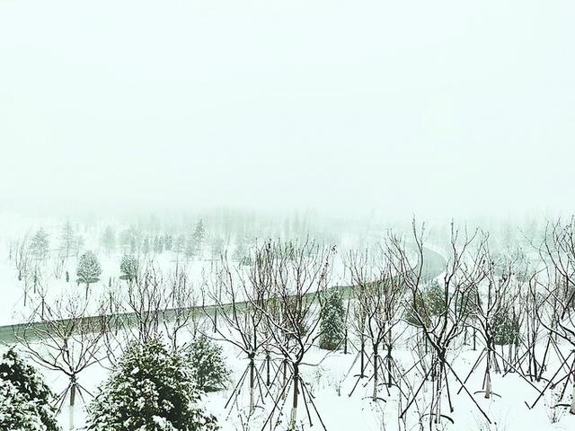 北京城市副中心5.5公里星形園路全線貫通，預計年底前增綠8000畝