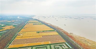 綠色+美麗 長三角一體化高質量發展的應有之義