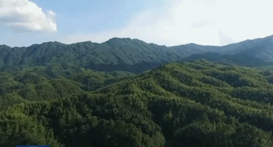 國家林業和草原局：我國國有林場改革任務全面完成