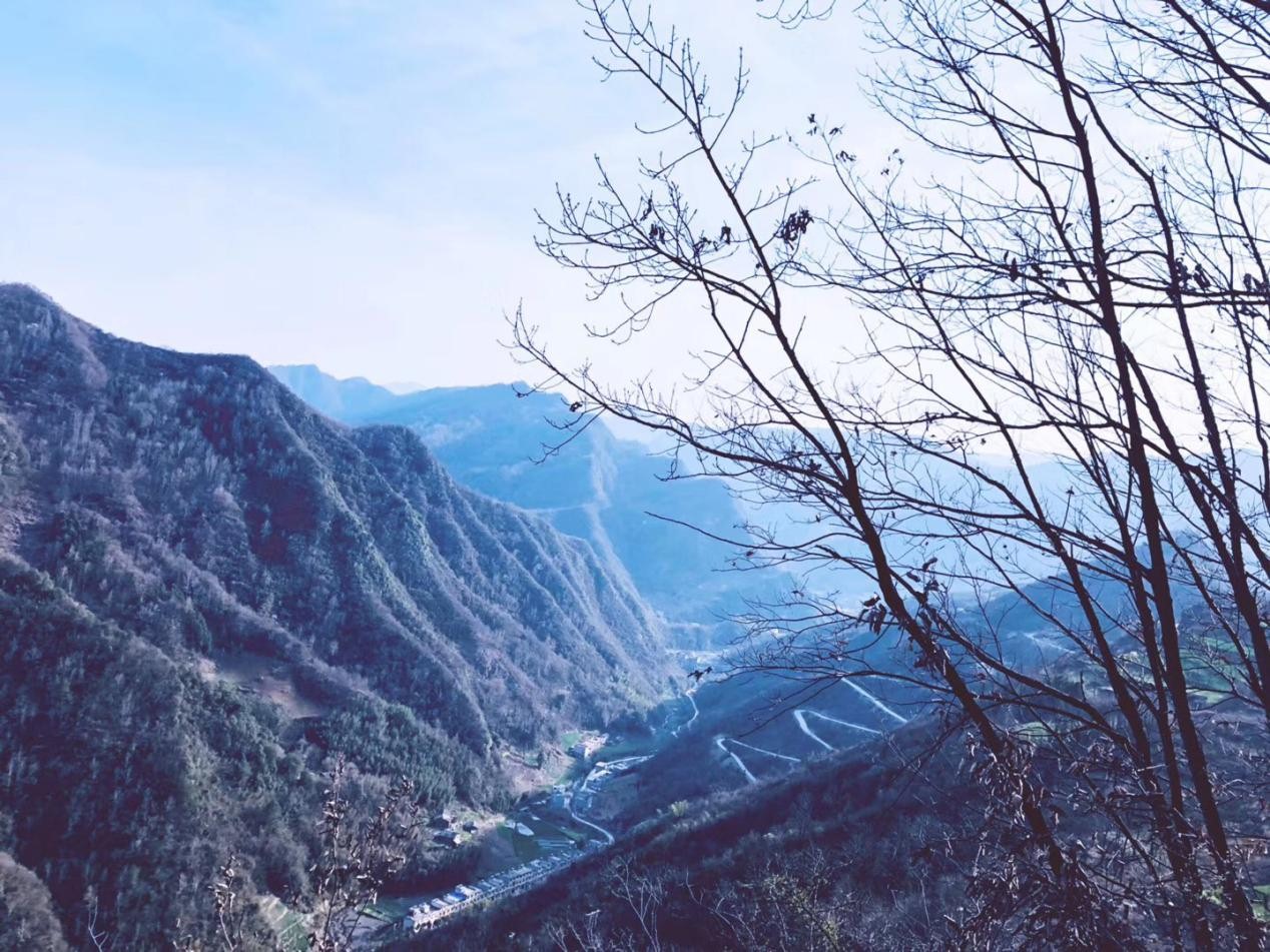 園冶杯一等獎朱文豪：一粒沙中見世界，一座村中見故鄉