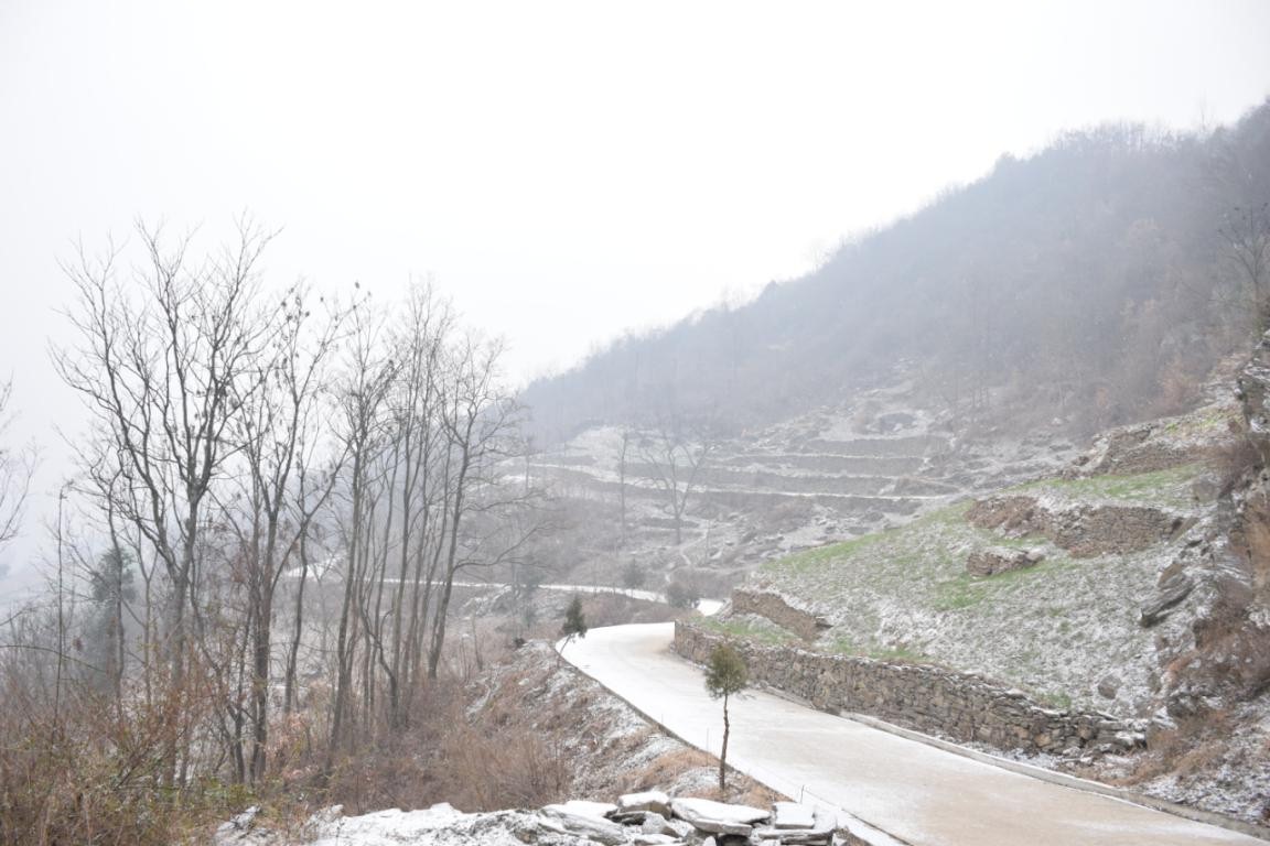 園冶杯一等獎朱文豪：一粒沙中見世界，一座村中見故鄉