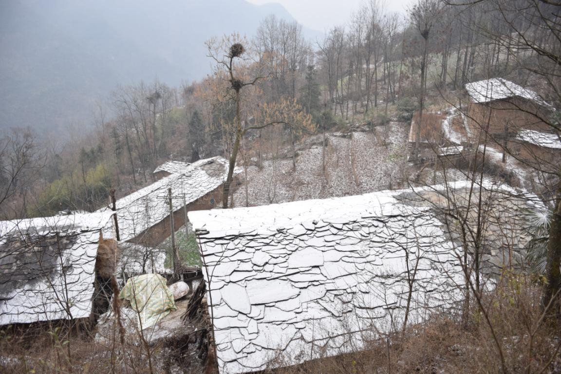 園冶杯一等獎朱文豪：一粒沙中見世界，一座村中見故鄉