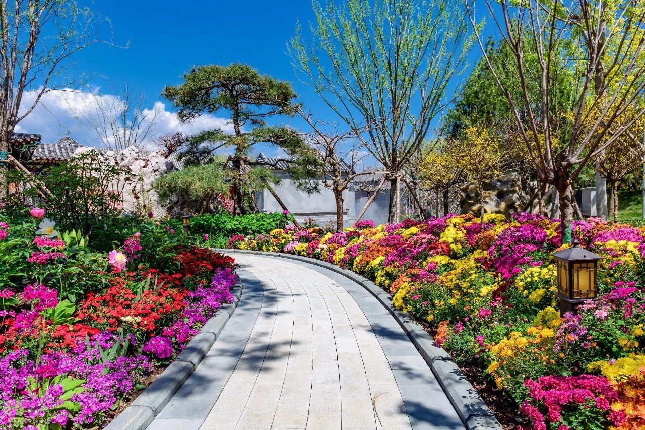 再傳捷報(bào)!第十屆園冶杯市政園林大獎(jiǎng)佳作云集