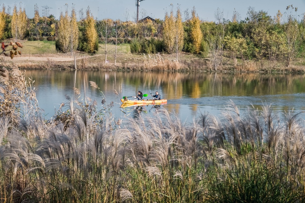 再傳捷報(bào)!第十屆園冶杯市政園林大獎(jiǎng)佳作云集