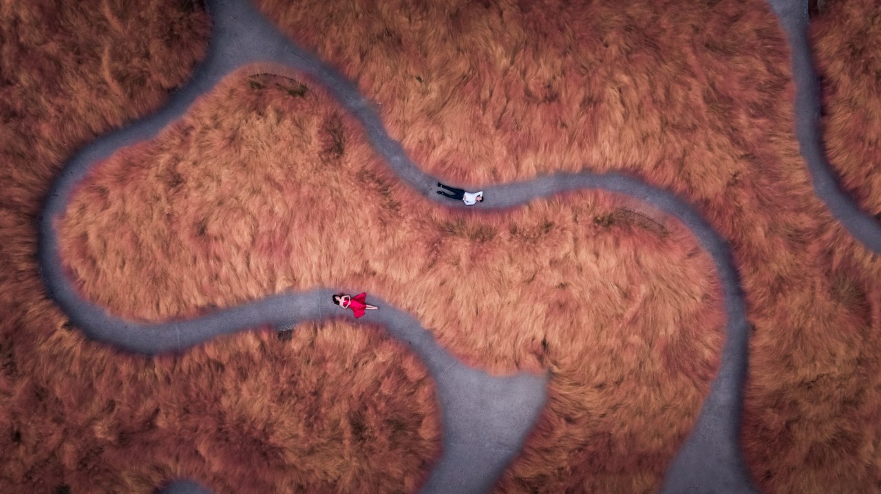 再傳捷報(bào)!第十屆園冶杯市政園林大獎(jiǎng)佳作云集