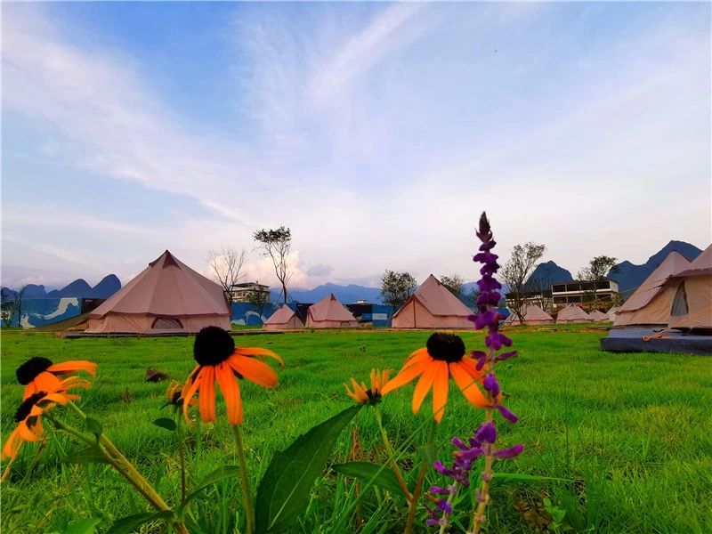 再傳捷報(bào)!第十屆園冶杯市政園林大獎(jiǎng)佳作云集