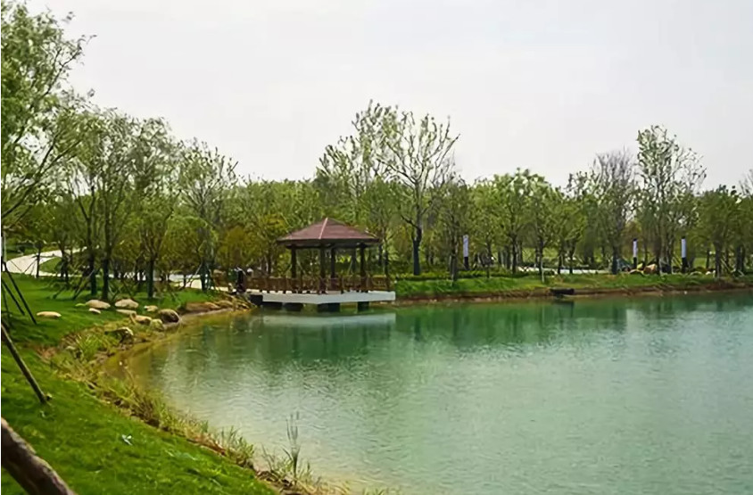 再傳捷報(bào)!第十屆園冶杯市政園林大獎(jiǎng)佳作云集