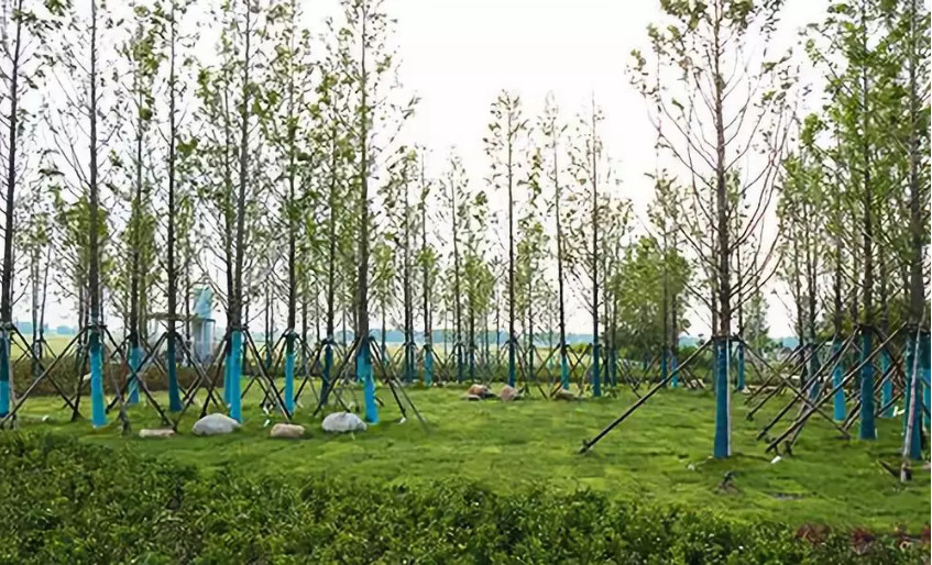 再傳捷報(bào)!第十屆園冶杯市政園林大獎(jiǎng)佳作云集