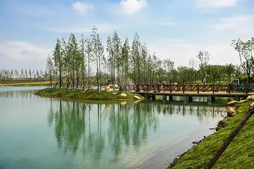 再傳捷報(bào)!第十屆園冶杯市政園林大獎(jiǎng)佳作云集