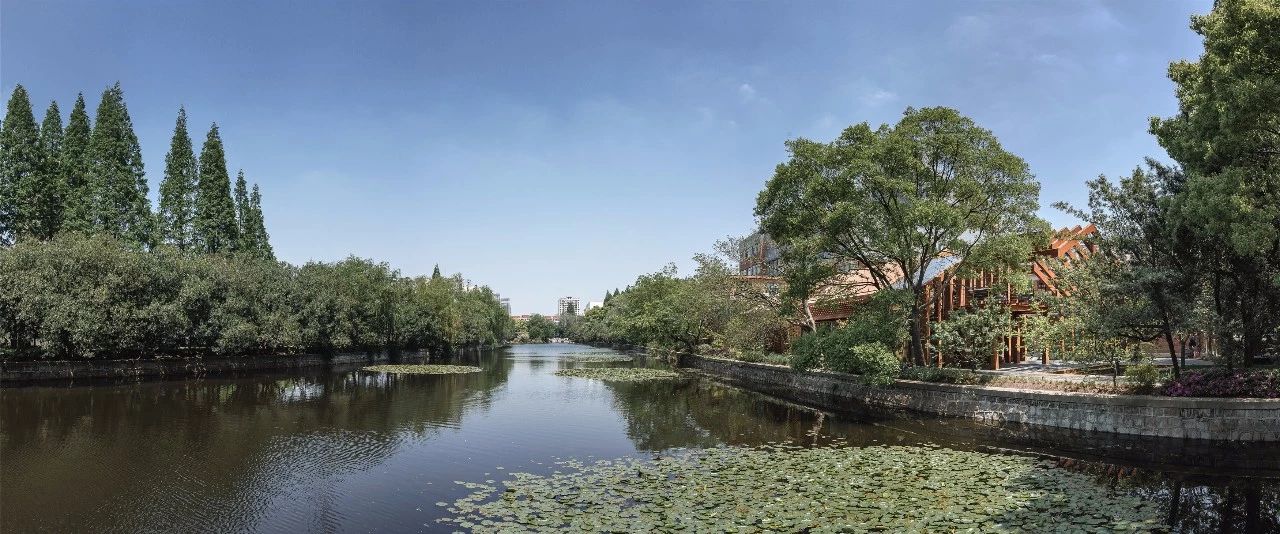 再傳捷報(bào)!第十屆園冶杯市政園林大獎(jiǎng)佳作云集