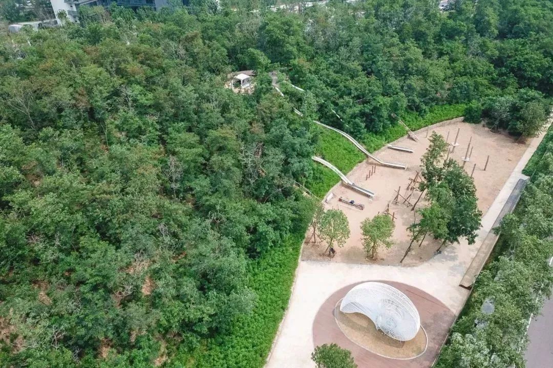 再傳捷報(bào)!第十屆園冶杯市政園林大獎(jiǎng)佳作云集