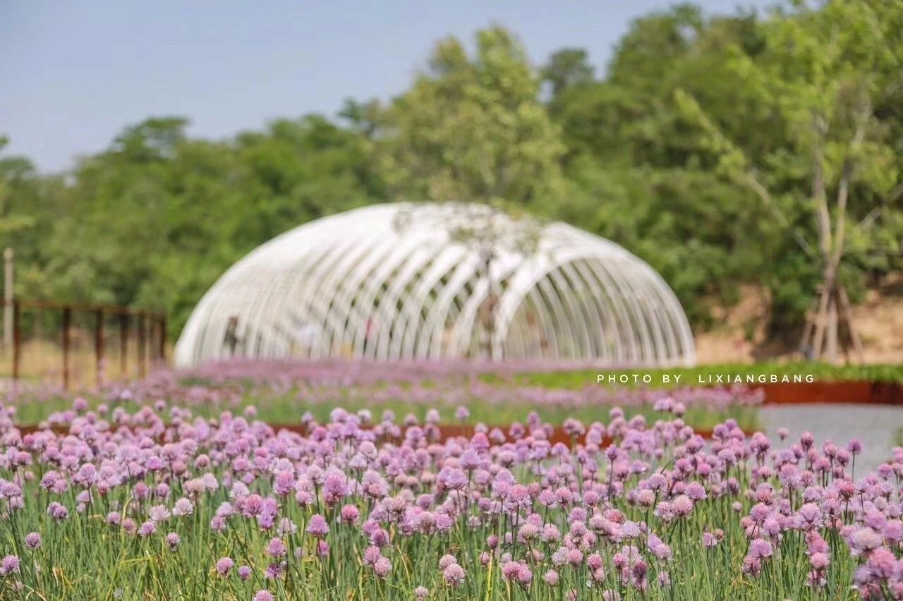 再傳捷報(bào)!第十屆園冶杯市政園林大獎(jiǎng)佳作云集