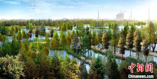 武漢：瞄準(zhǔn)長江兩岸做“綠文章”