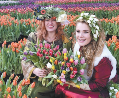 荷蘭花卉業(yè),美麗更有競爭力