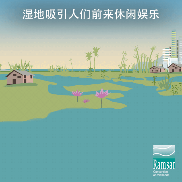 第24個世界濕地日：濕地與生物多樣性