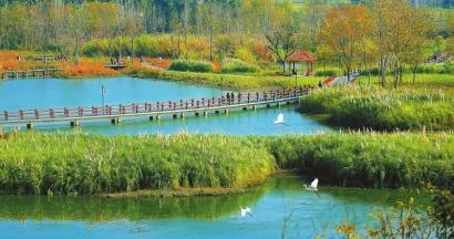 成都有了“國家濕地公園”