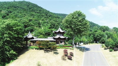 安徽:老礦區變身文創園 大洼宕復綠成網紅