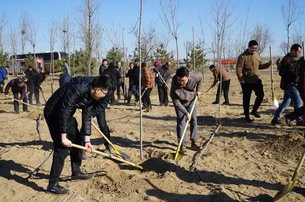 河北:今年計劃完成城市植樹1000萬株