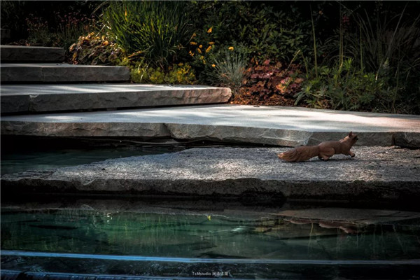 浙江龍湖坤和·天境