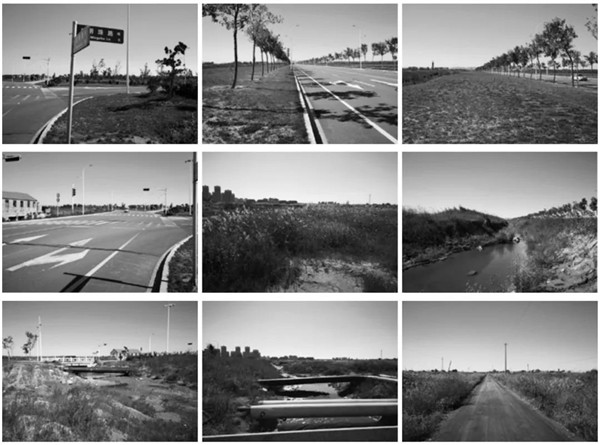 回歸初心，因“和”而來——南海·雁歸來