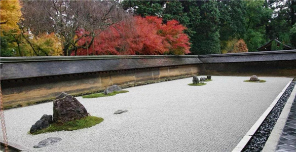 回歸初心，因“和”而來——南海·雁歸來