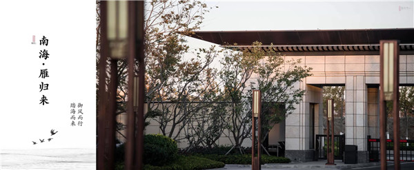回歸初心，因“和”而來——南海·雁歸來