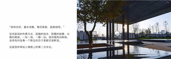 回歸初心，因“和”而來——南海·雁歸來