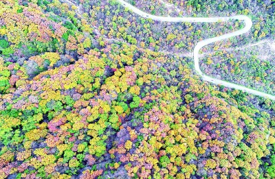 楊銳：在秦巴山脈構(gòu)建國(guó)家公園