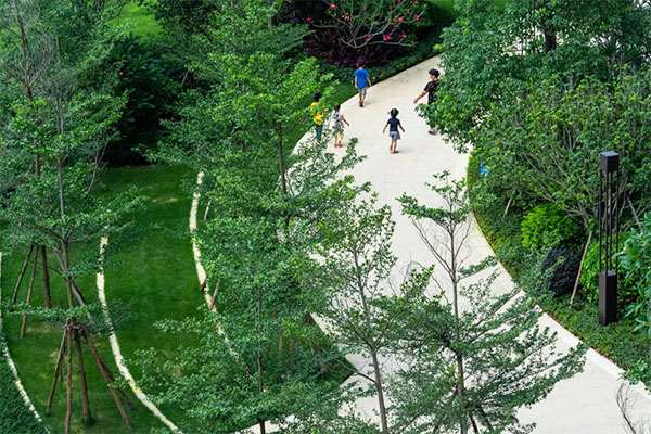 湖島立體花園居游記丨惠州奧園譽山湖