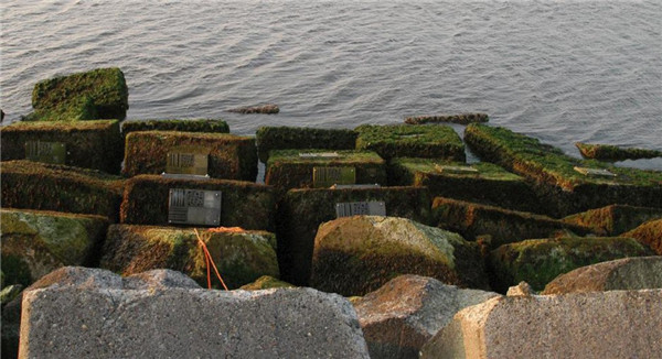 耿火樂(lè)：蘭堤防體系－順應(yīng)大自然的演變