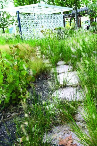 青島世園會景區殘破荒廢,網友建議打造成兒童體驗園