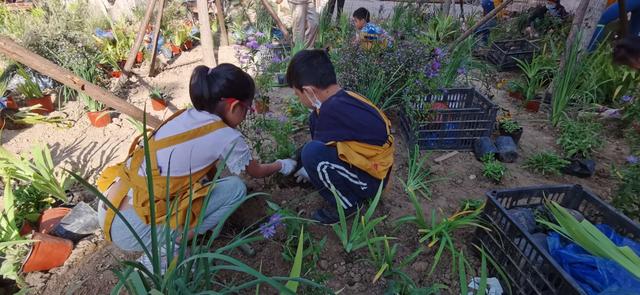 世園會英國大師園“搬”進中關村社區