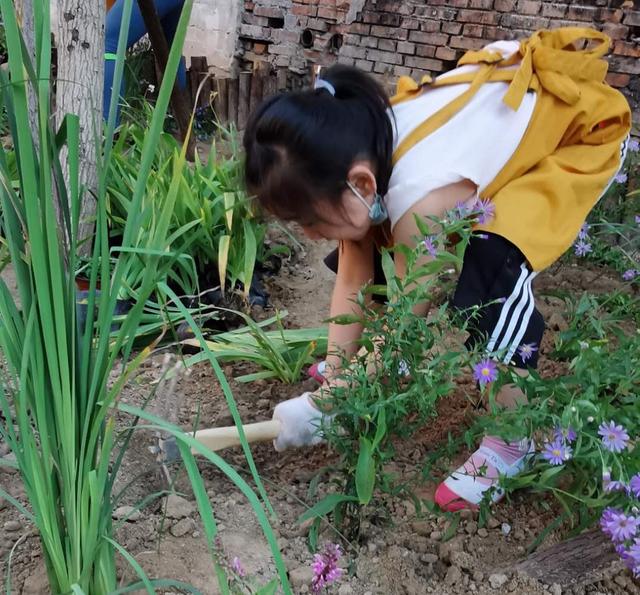 世園會英國大師園“搬”進中關村社區