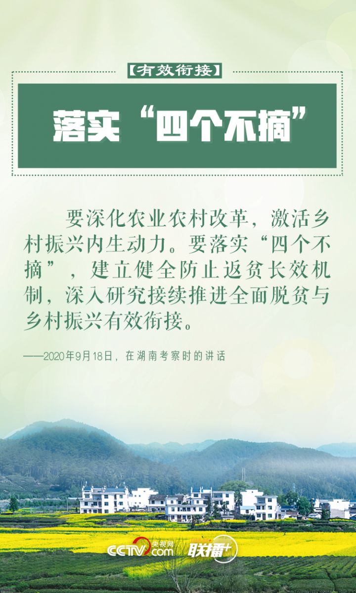 鄉村振興 習近平反復強調這四個字