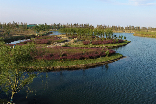 第十屆中國花博會園區水系整治工程完工