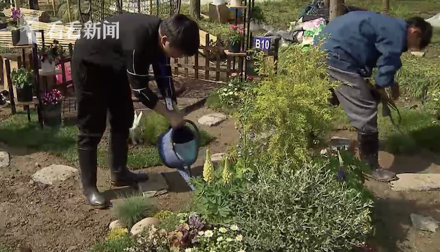 花博會將辦“市民花園”大賽