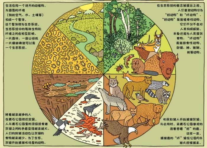 童書《世界國家公園》解鎖自然界的神奇百態