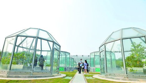 廈門大學(xué)"八閩園"開(kāi)園 將建成國(guó)內(nèi)一流大學(xué)植物園