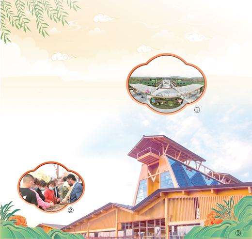 世界園藝博覽會(huì)首次落戶長(zhǎng)三角地區(qū) 有何看點(diǎn)？