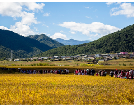 基于三態(tài)合一的高原山地鄉(xiāng)村振興