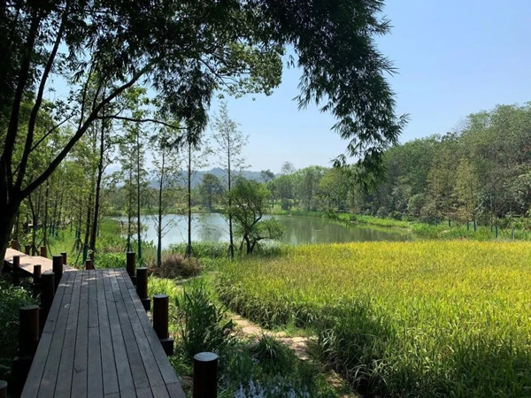 2021生態(tài)保護修復(fù)創(chuàng)新實踐論壇將于7月22日在重慶舉辦